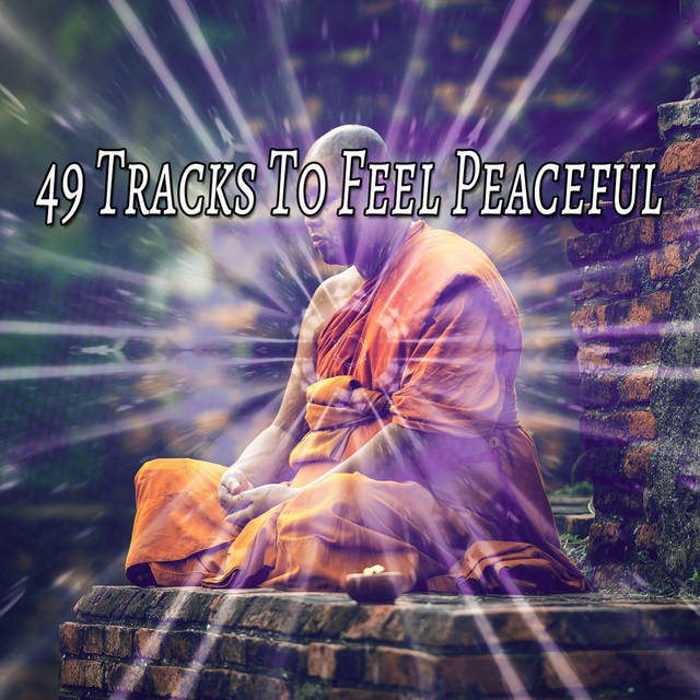 Couverture de 49 Tracks to Feel Peaceful