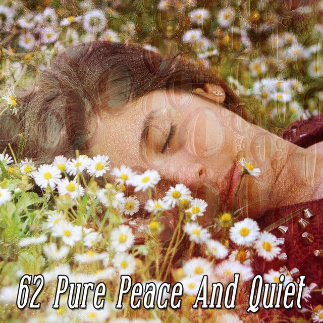 62 Pure Peace and Quiet