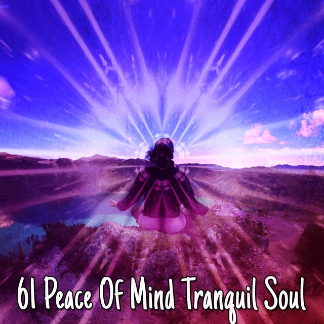 Couverture de 61 Peace of Mind Tranquil Soul