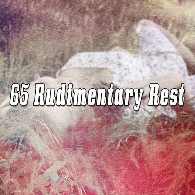 65 Rudimentary Rest