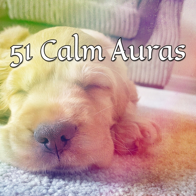 51 Calm Auras