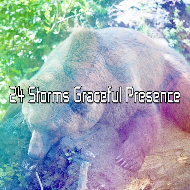 24 Storms Graceful Presence