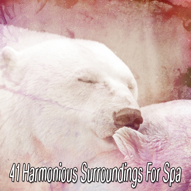 41 Harmonious Surroundings for Spa