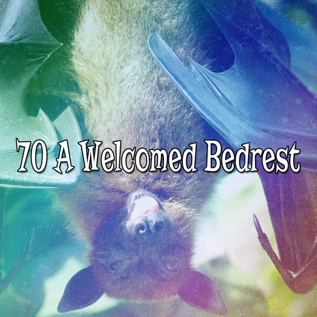 70 A Welcomed Bedrest