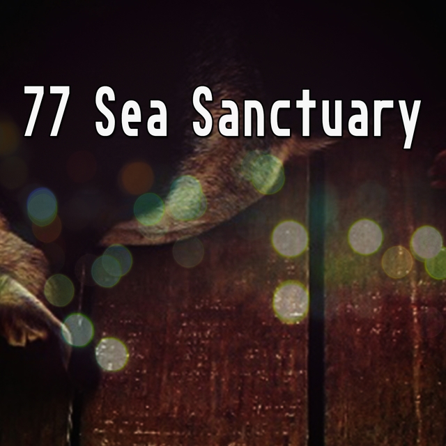 77 Sea Sanctuary