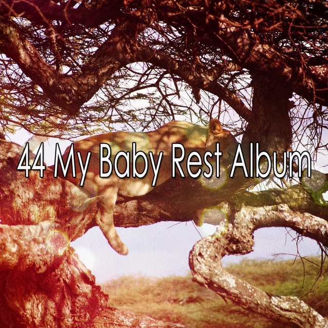 44 My Baby Rest Album