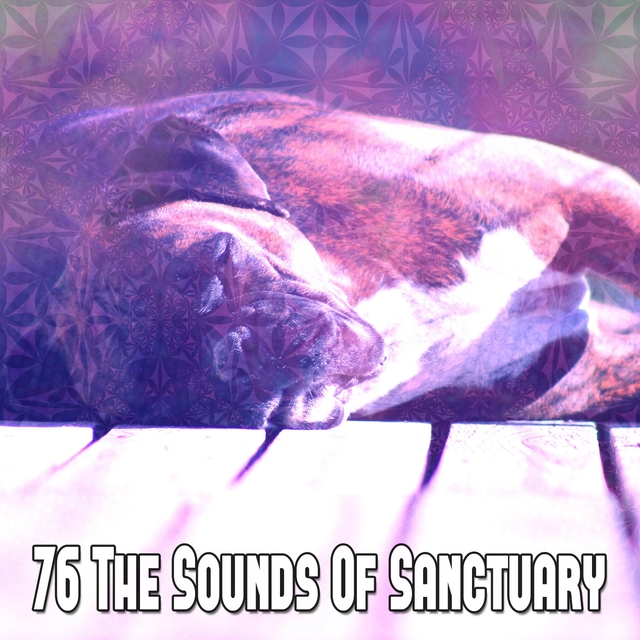 76 The Sounds of Sanctuary