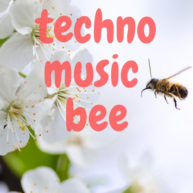 TECHNO MUSIC BEE