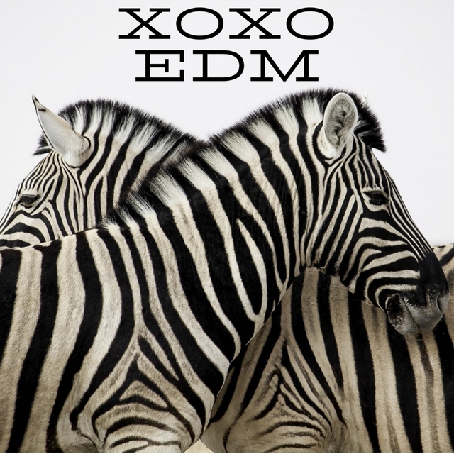 Couverture de XOXO EDM