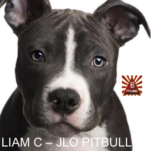 J-Lo Pitbull