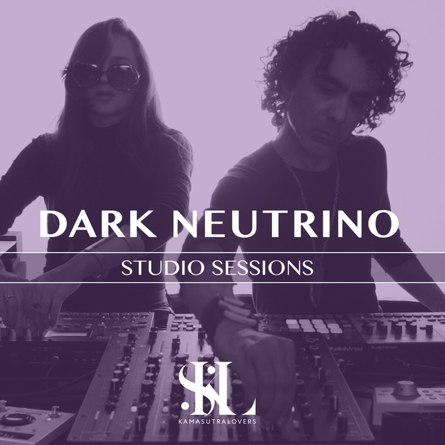 Dark Neutrino