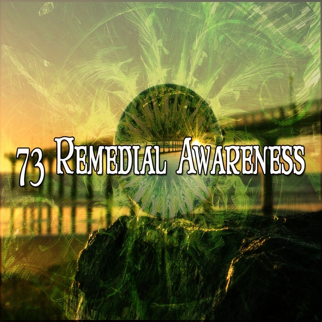 73 Remedial Awareness