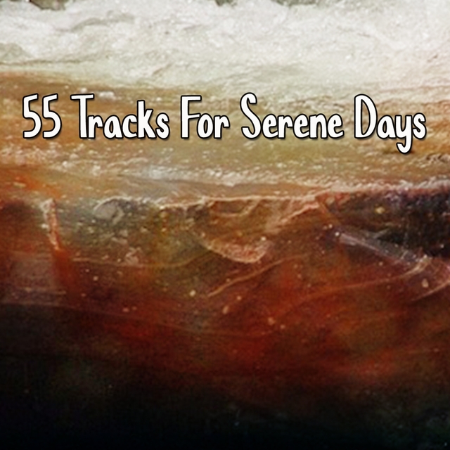 Couverture de 55 Tracks for Serene Days