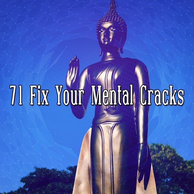 Couverture de 71 Fix Your Mental Cracks