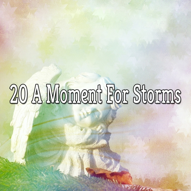 20 A Moment for Storms