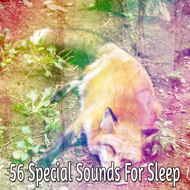 Couverture de 56 Special Sounds for Sleep