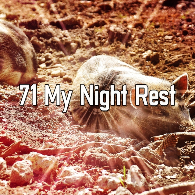 71 My Night Rest