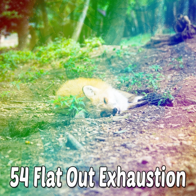 Couverture de 54 Flat out Exhaustion