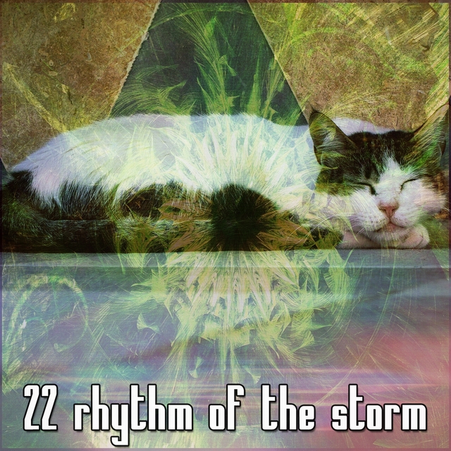 22 Rhythm of the Storm