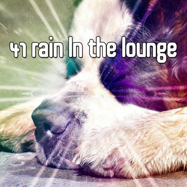 41 Rain in the Lounge