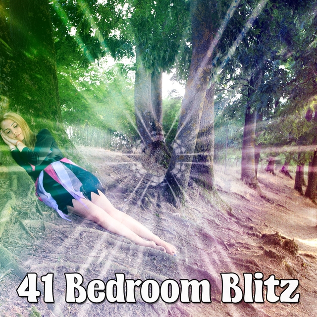 41 Bedroom Blitz