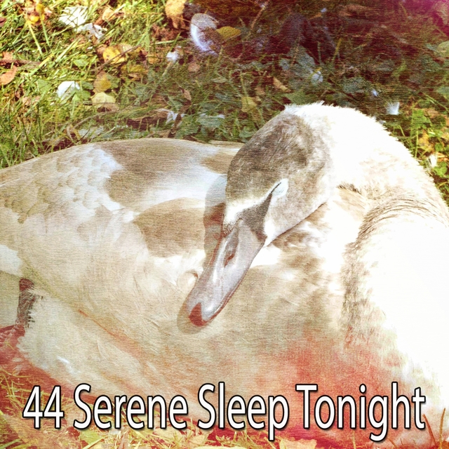 44 Serene Sleep Tonight