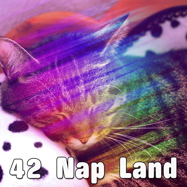 42 Nap Land