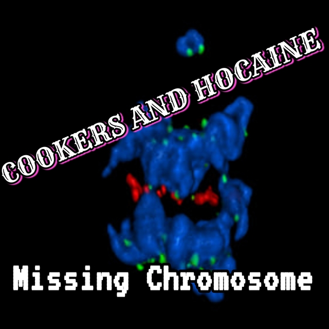 Couverture de Missing Chromosone