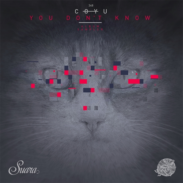 Couverture de You Don't Know (Album Sampler)