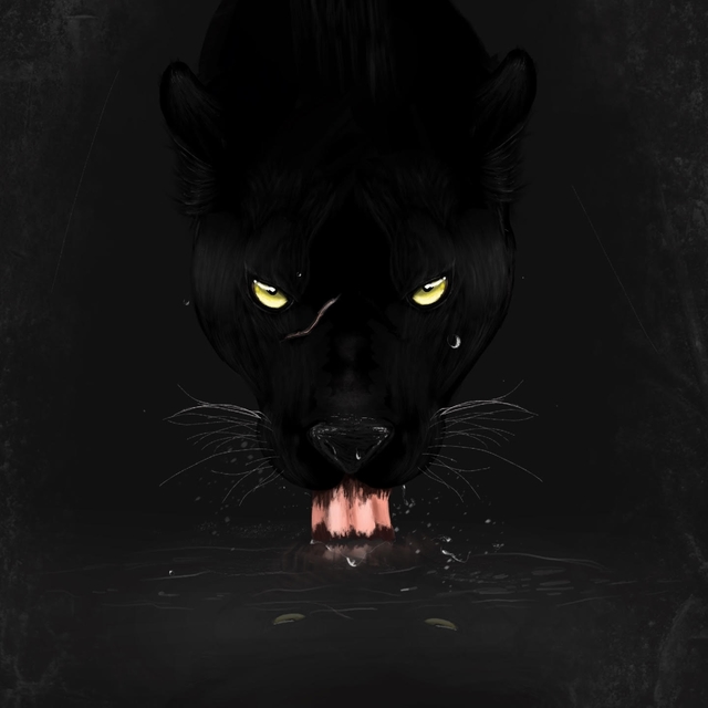 Couverture de Bagheera