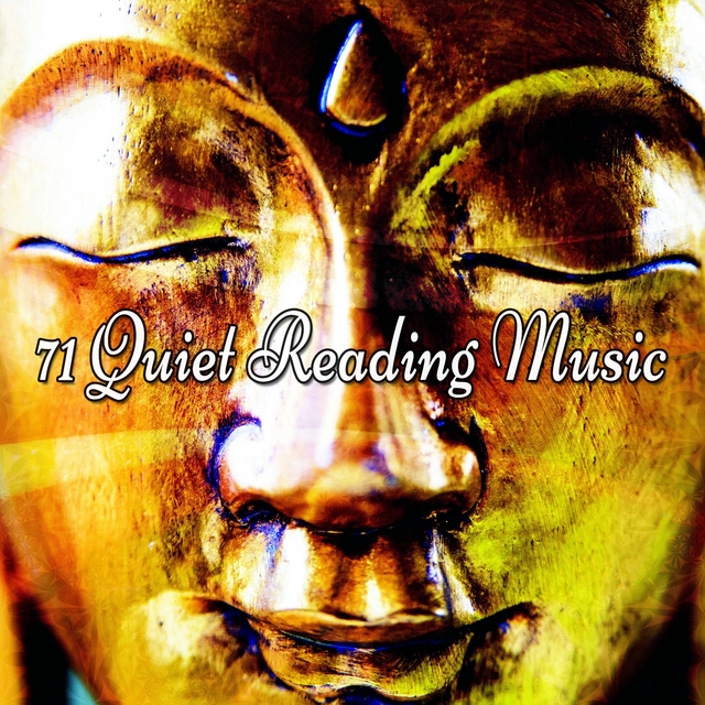 71 Quiet Reading Music