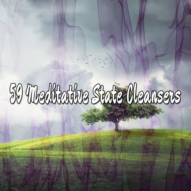 59 Meditative State Cleansers