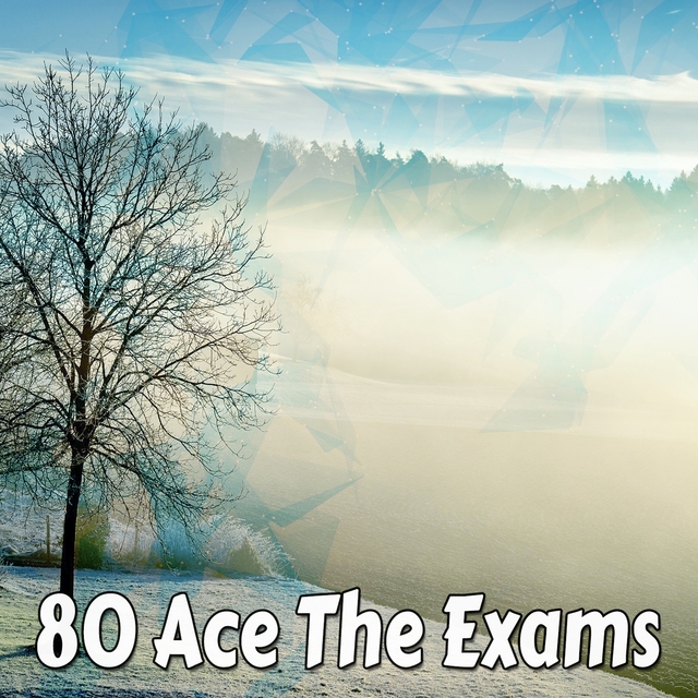 80 Ace the Exams