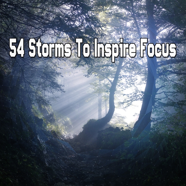 Couverture de 54 Storms to Inspire Focus