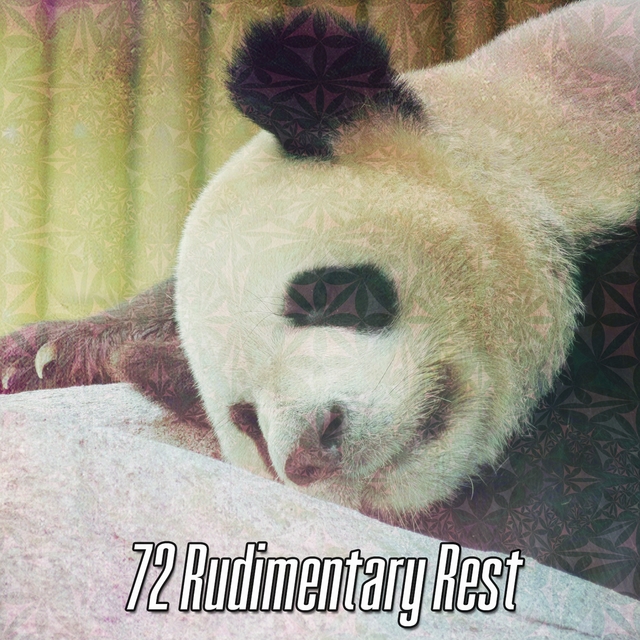 72 Rudimentary Rest