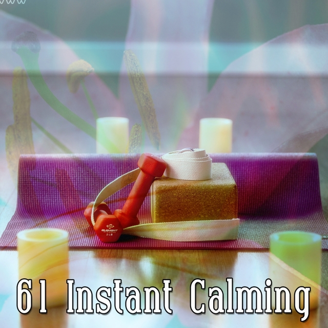 Couverture de 61 Instant Calming