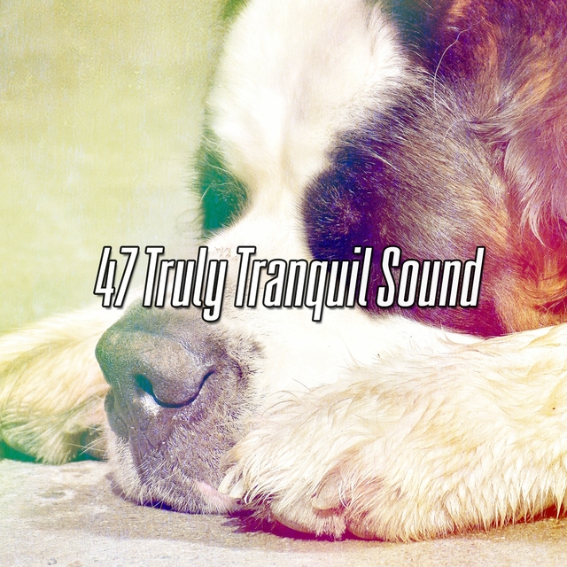 47 Truly Tranquil Sound