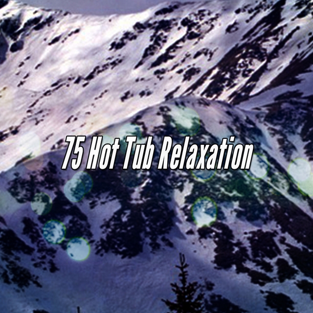 75 Hot Tub Relaxation