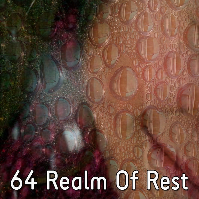 64 Realm of Rest