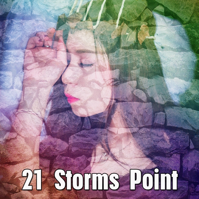 21 Storms Point