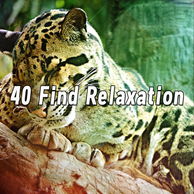 40 Find Relaxation