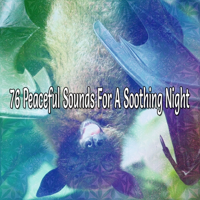 76 Peaceful Sounds for a Soothing Night