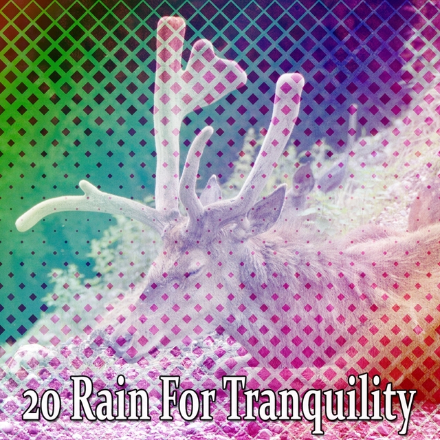 20 Rain for Tranquility