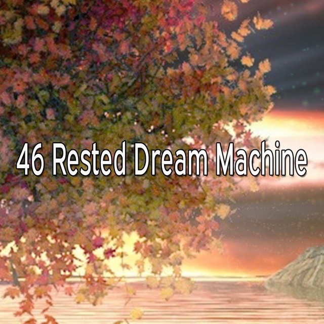 46 Rested Dream Machine