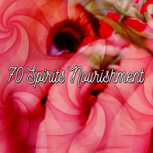 70 Spirits Nourishment