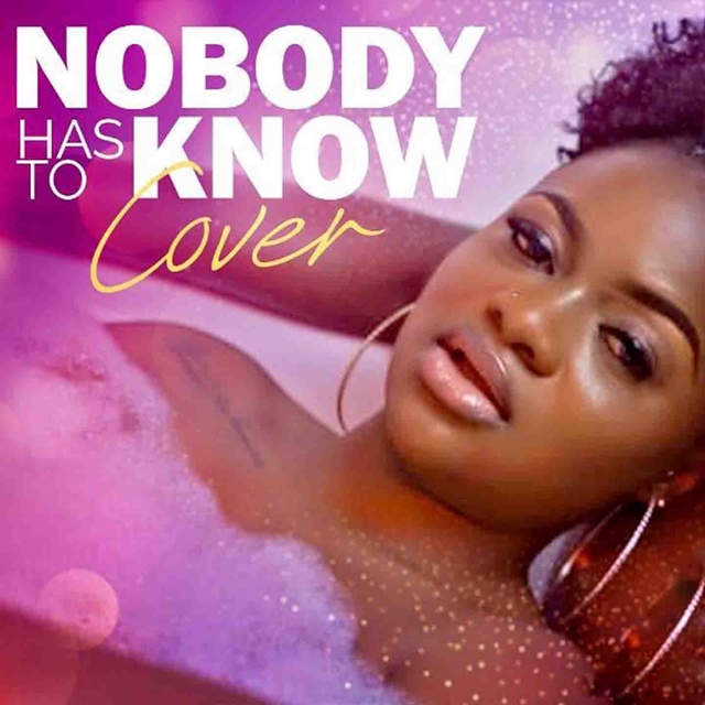 Couverture de Nobody Has to Know