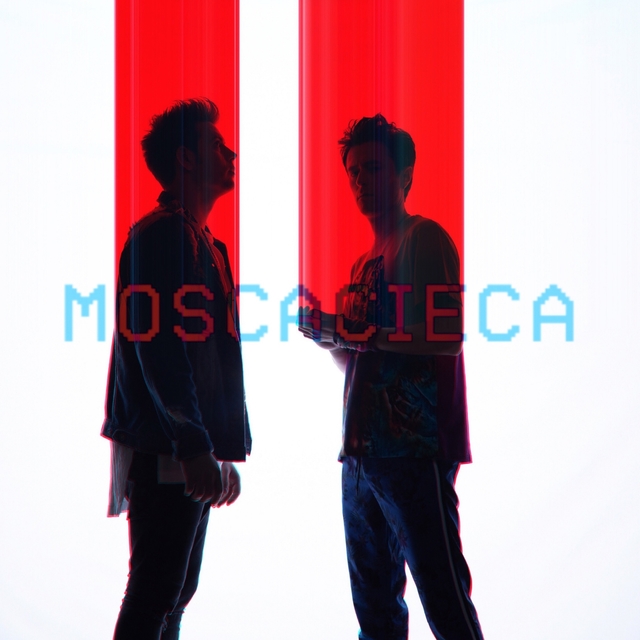 Mosca cieca