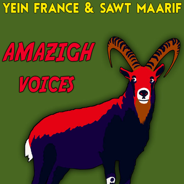 Couverture de Amazigh Voices