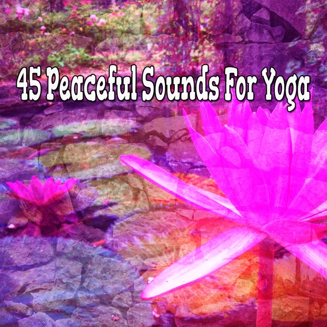 Couverture de 45 Peaceful Sounds for Yoga