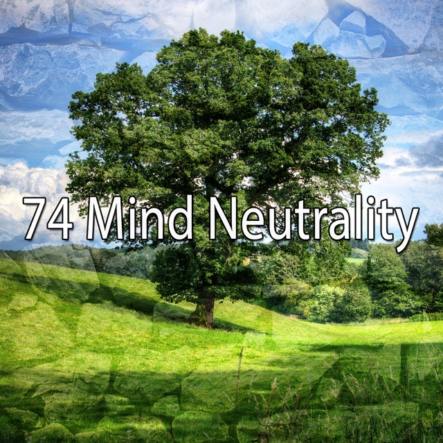 74 Mind Neutrality